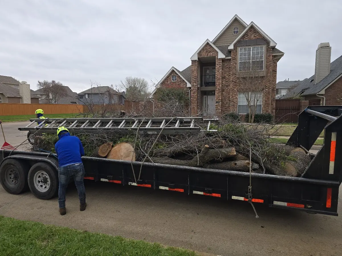 Expert Tree Removal with proper safety equipment in Healdton